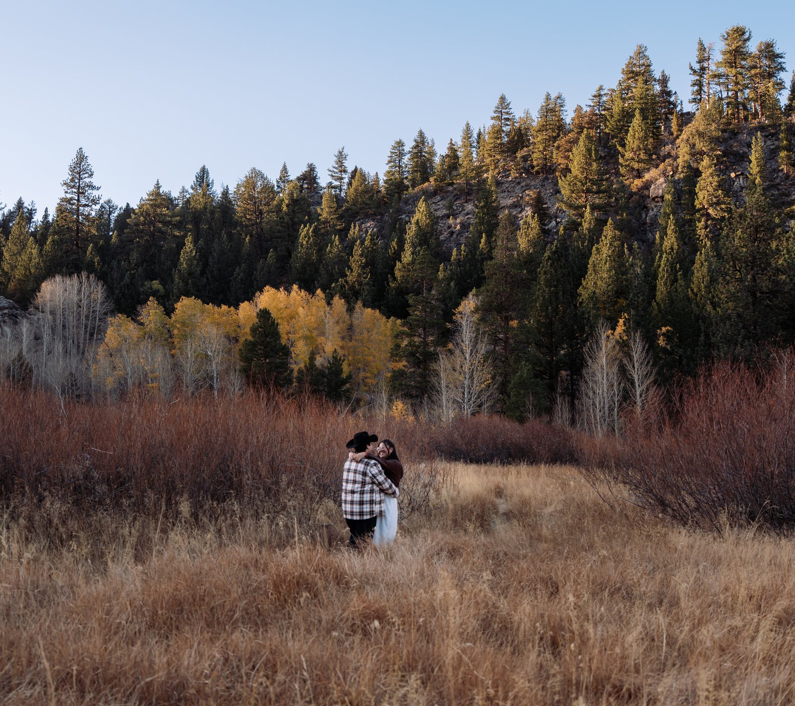 Far off in the middle of a golden meadow, the couple hold each other in front of red-brown brush, yellow aspens and a pine-covered hillside lit by low sun.