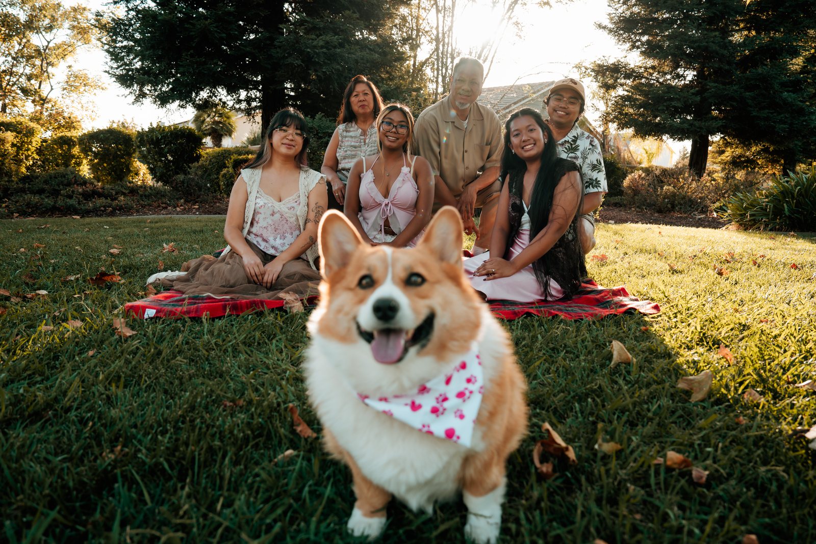 A corgi in a white bandana with pink paw prints sits on the grass close to the camera with its tongue out, while six family members on a plaid blanket smile behind it.