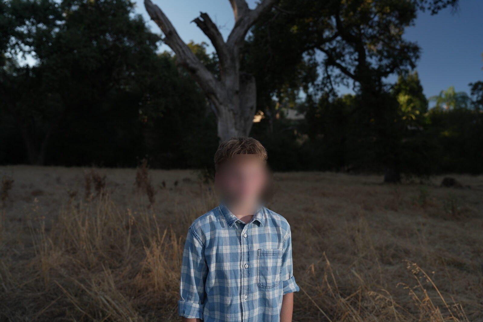A boy standing in the dry grass, evening light across his face