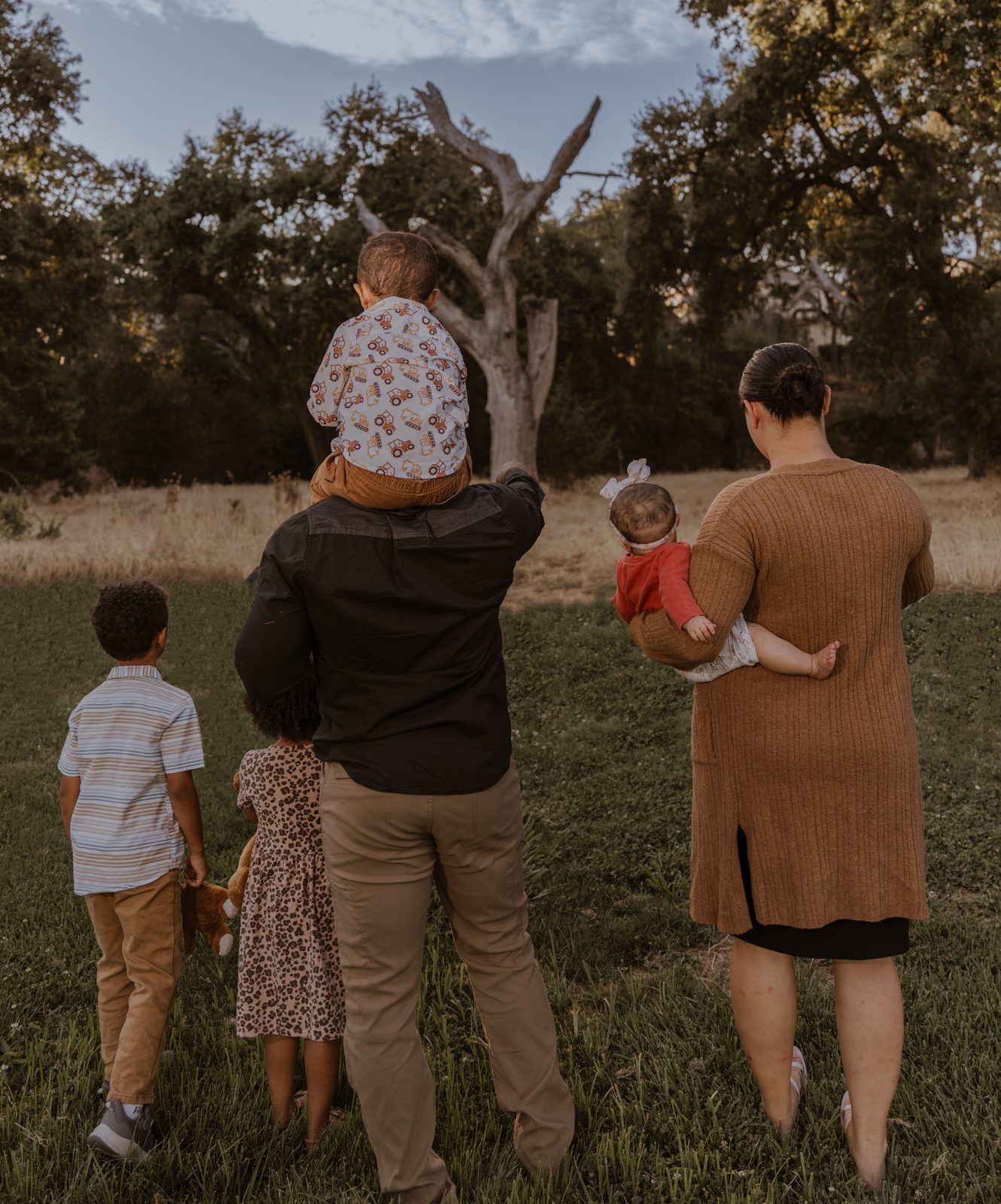 A family of six walks away across a meadow at golden hour, a toddler riding on his father's shoulders and a baby in her mother's arm, two children beside them